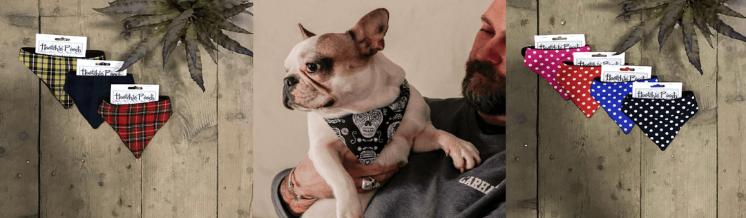 Hootchie Pooch