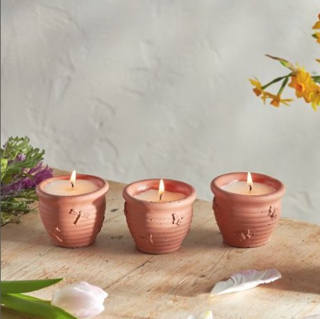 Spring/Summer Scents with St Eval