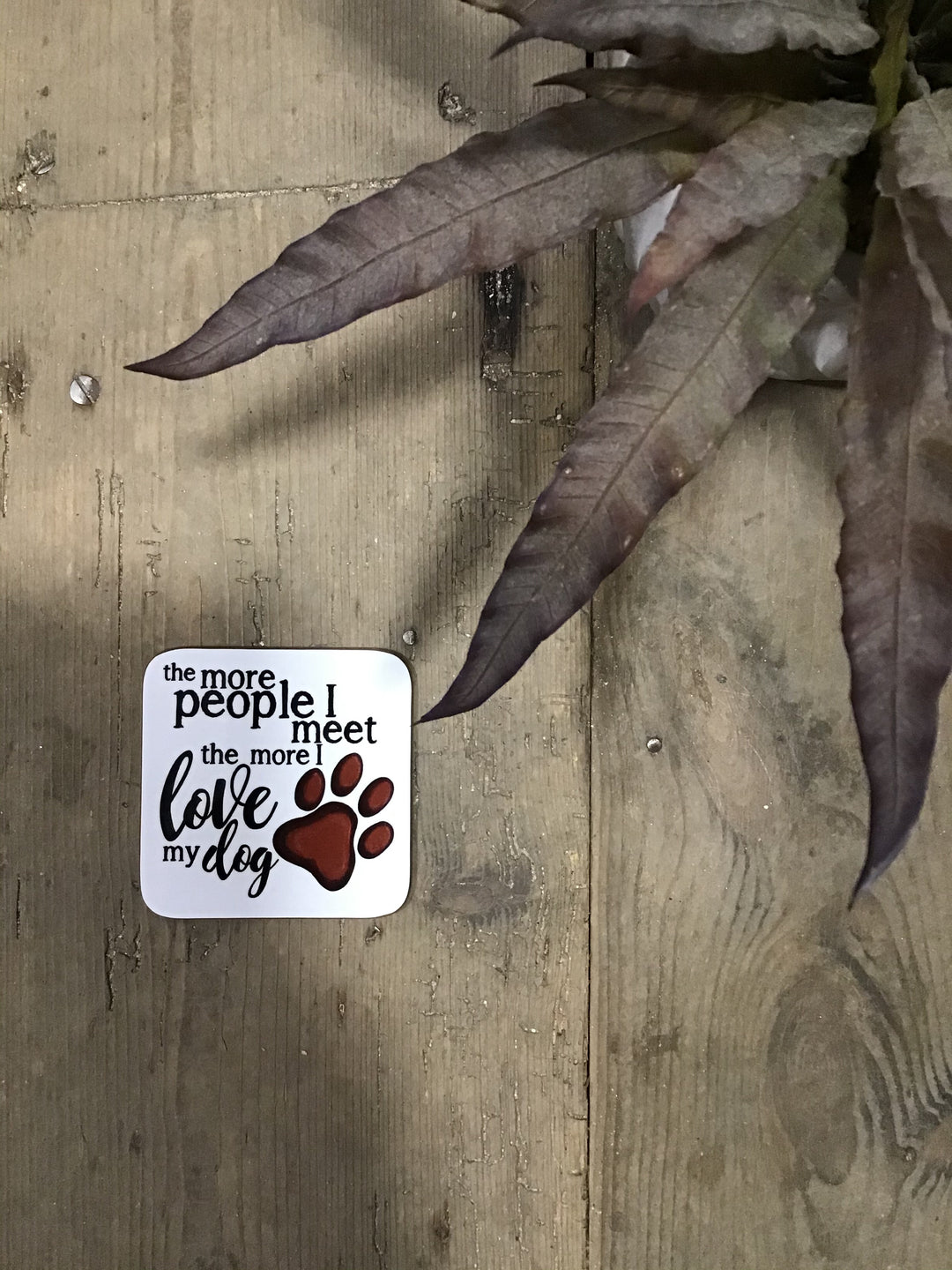 More I Love My Dog Coaster