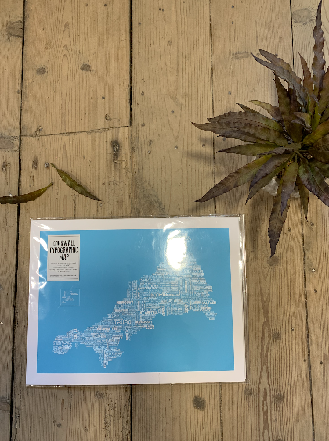 Cornwall Map Print