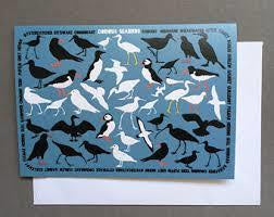 Cornish Seabirds Card