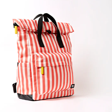 Coral Stripe Medium Canfield