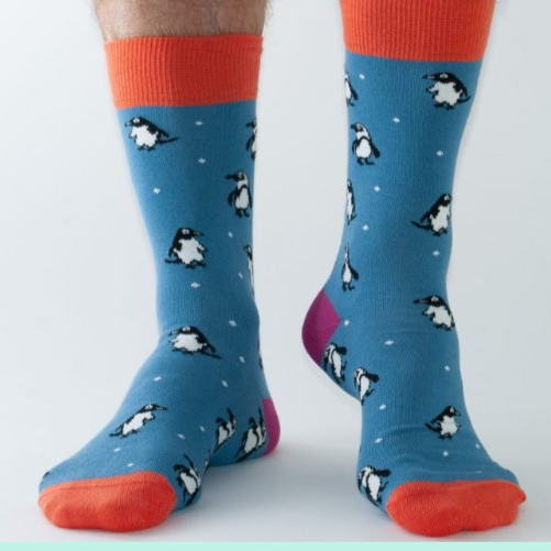 Blue Penguin Socks 11-14