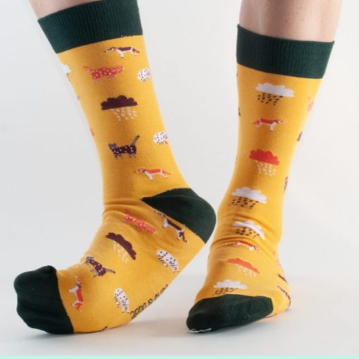 Gold Cats & Dogs Socks 3-7