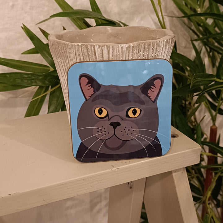Cat Coasters