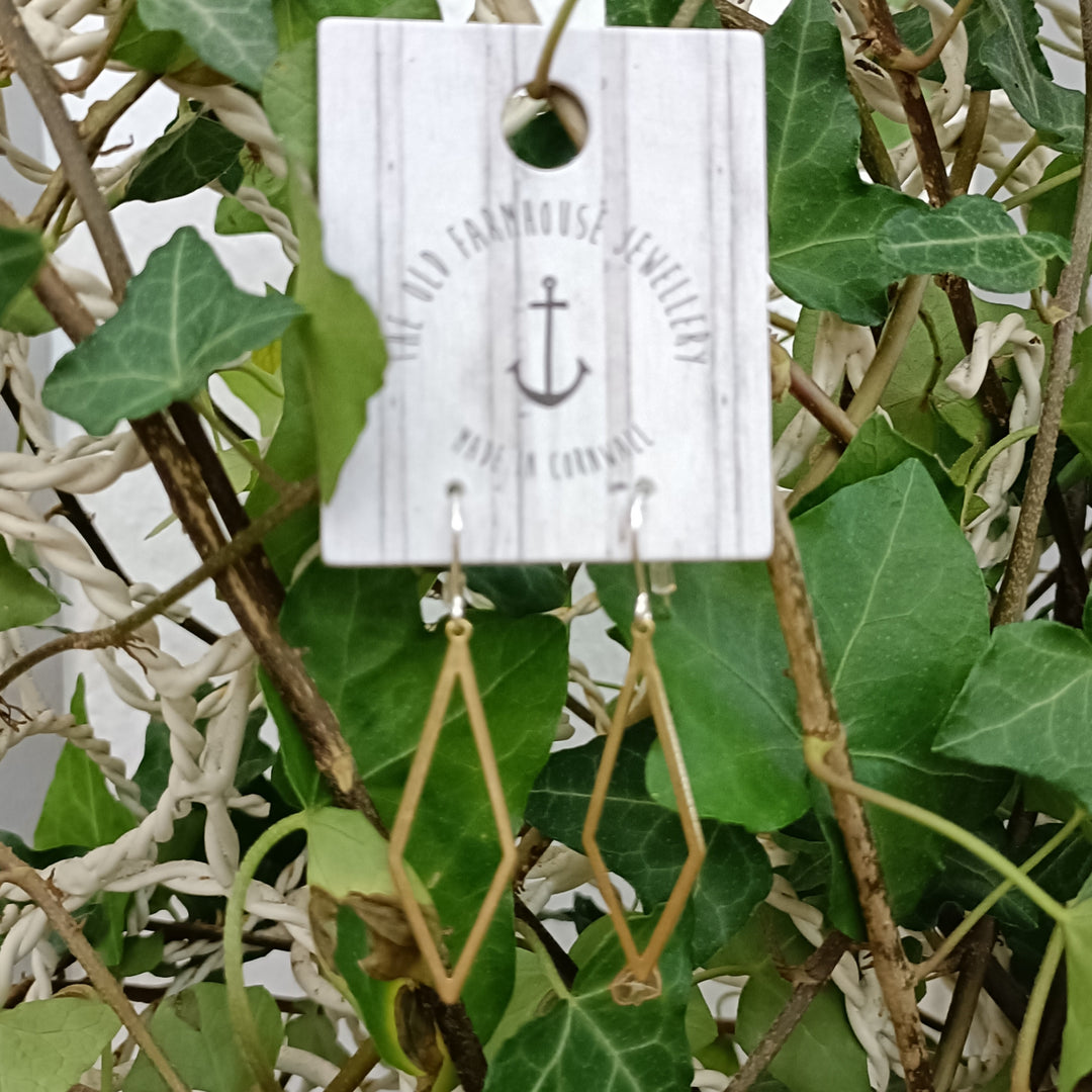 Medium Brass Earrings