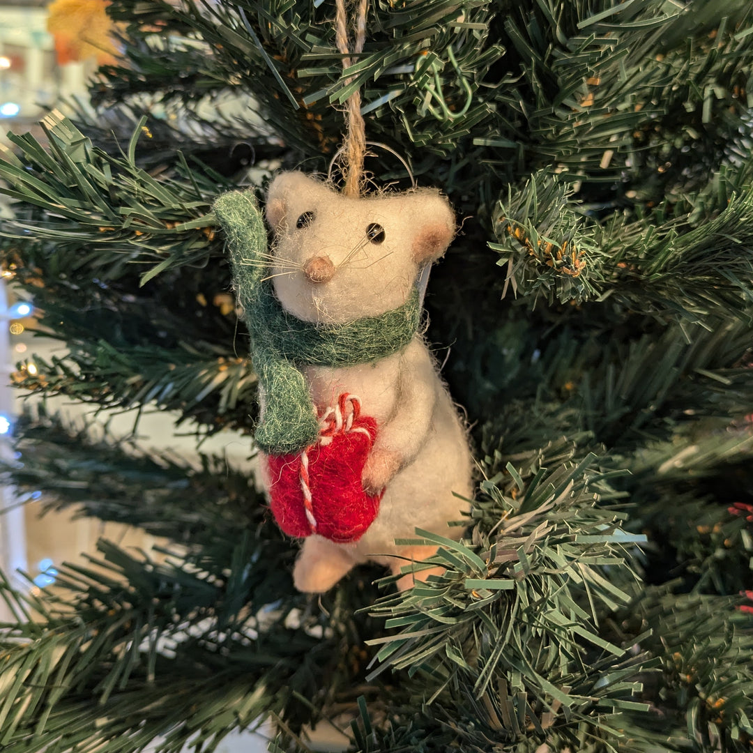 Mouse with a Parcel