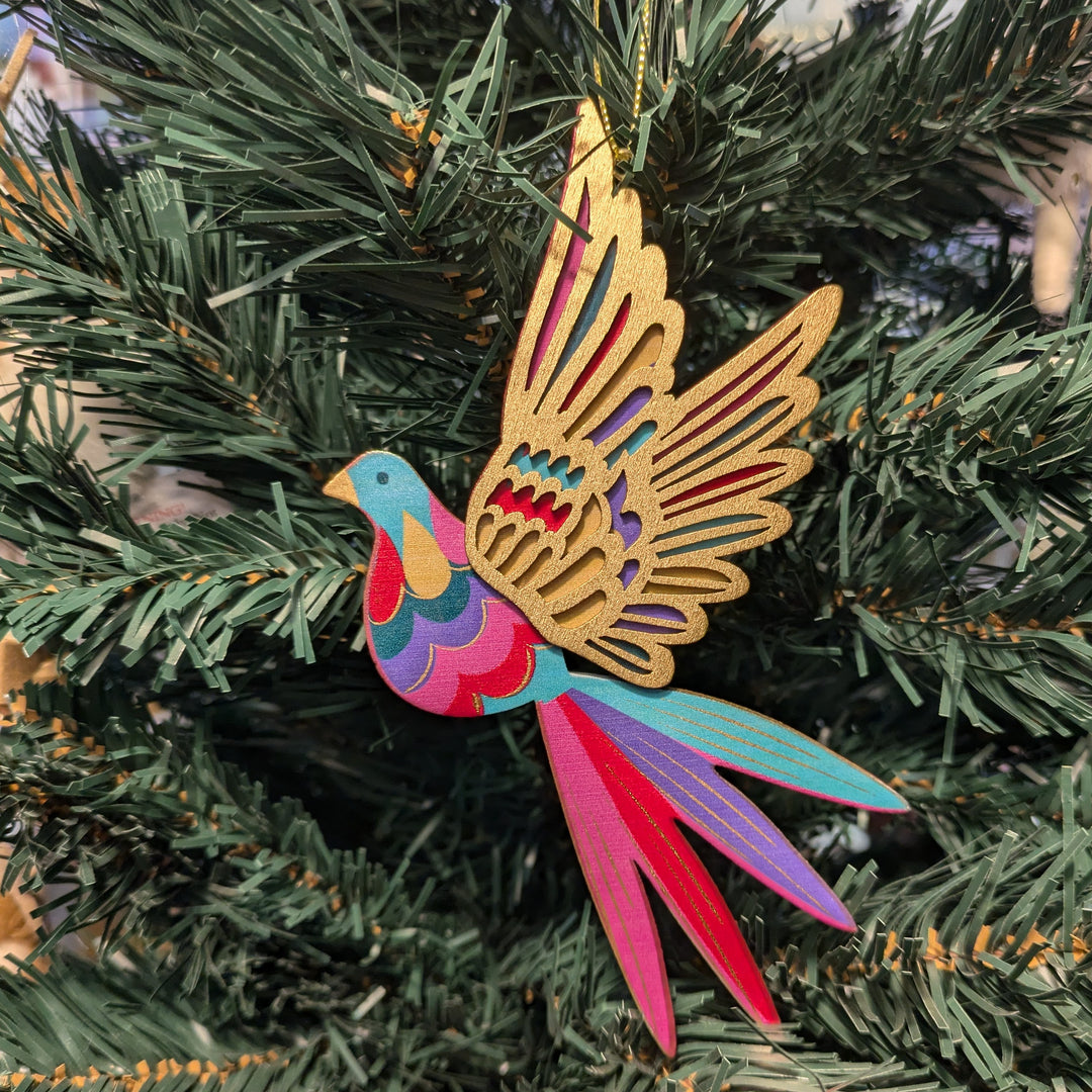 Flying Rainbow Bird