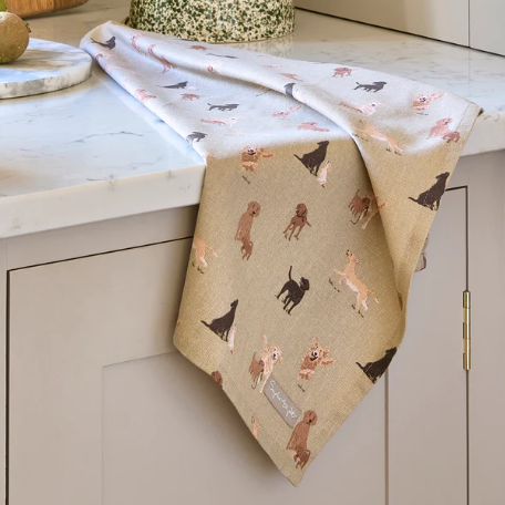 Labs & Retrievers Tea Towel