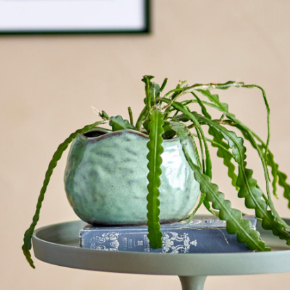 Pennie Flowerpot