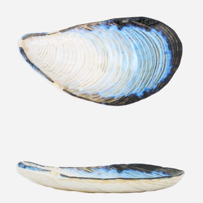 Mussel Shaped Tray
