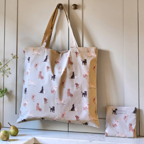 Folding Shopper