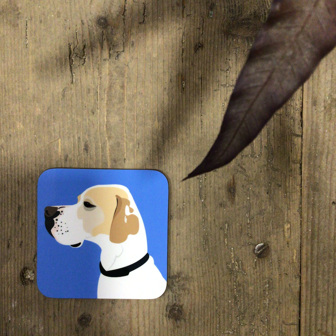 Dog Coaster
