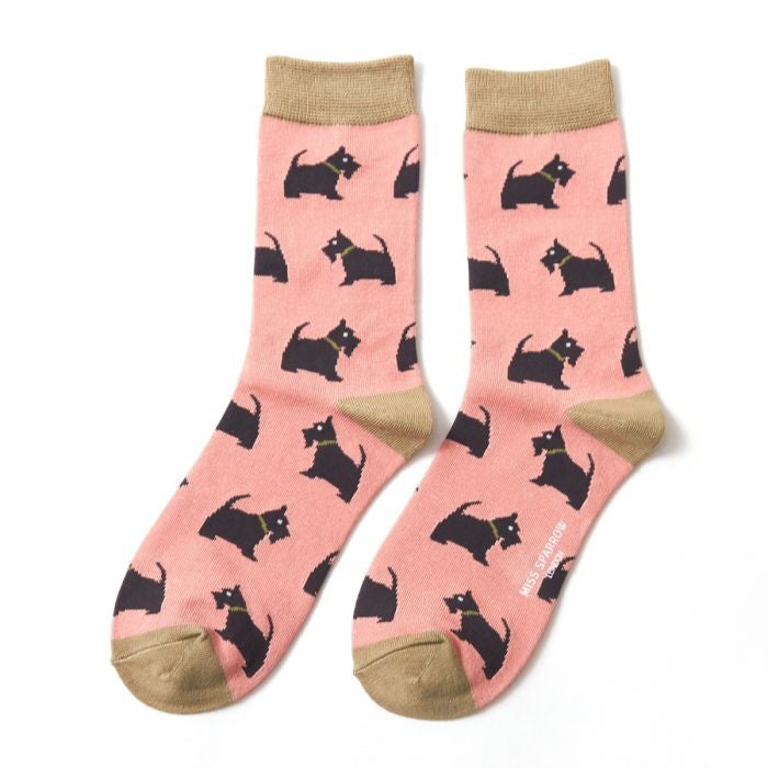 Westie Pups - Size 4-7
