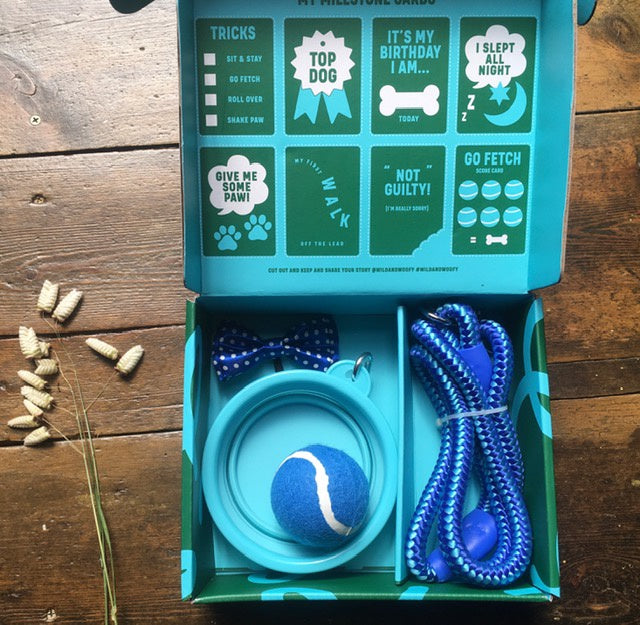 Gift Set - Dog Starter Kit