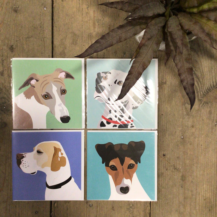 Dog Card