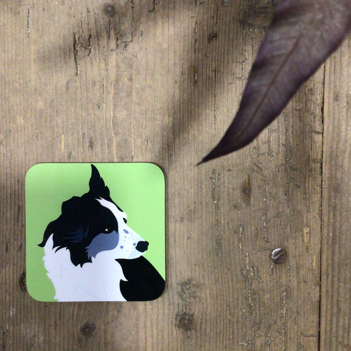 Dog Coaster