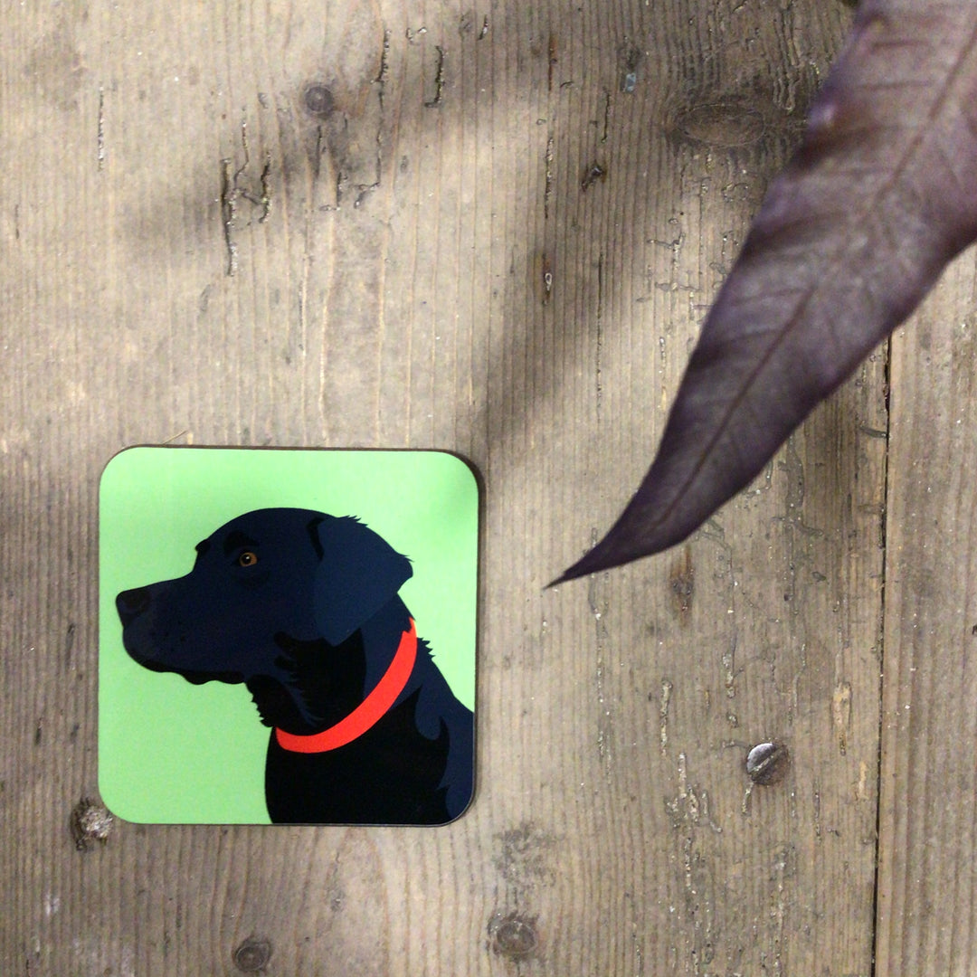 Dog Coaster