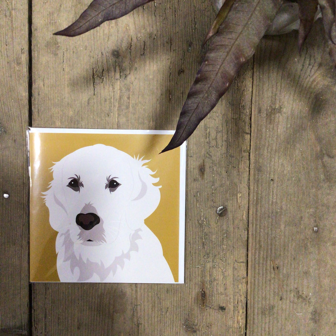 Dog Card
