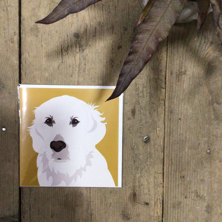 Dog Card