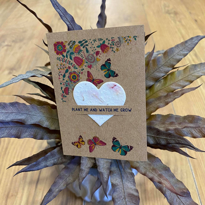 Little Seeds Card