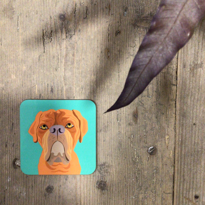 Dog Coaster