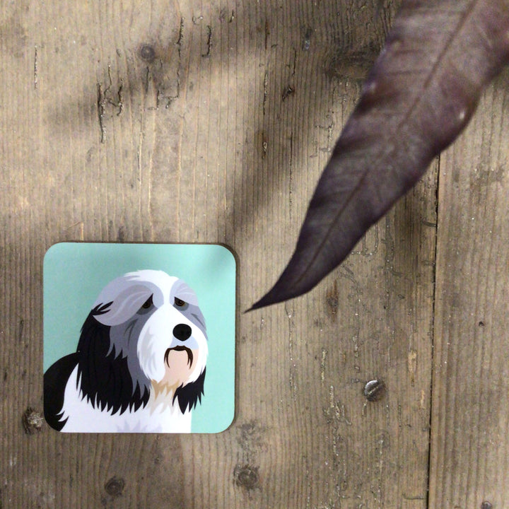 Dog Coaster