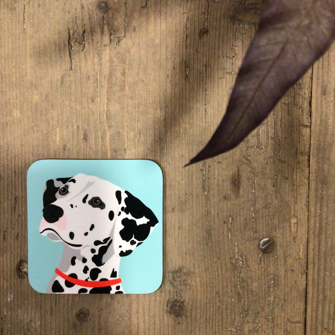 Dog Coaster