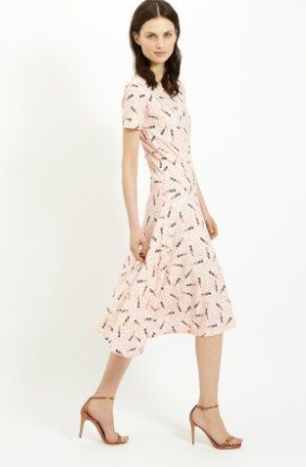 Zandra Dress