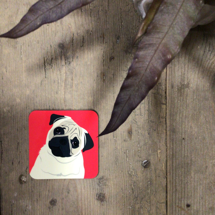 Dog Coaster