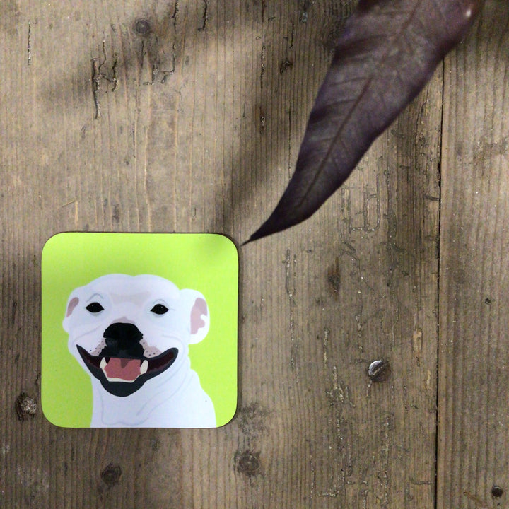 Dog Coaster