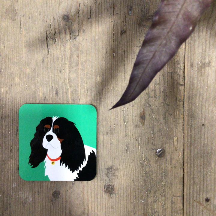 Dog Coaster