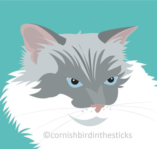 Cat Card