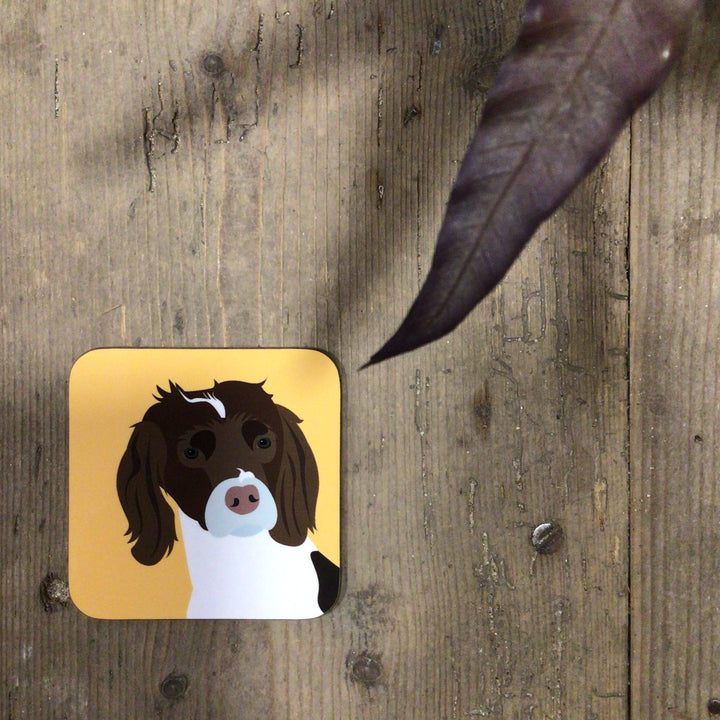 Dog Coaster