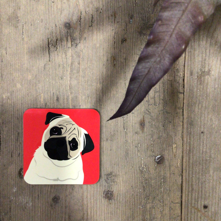 Dog Coaster