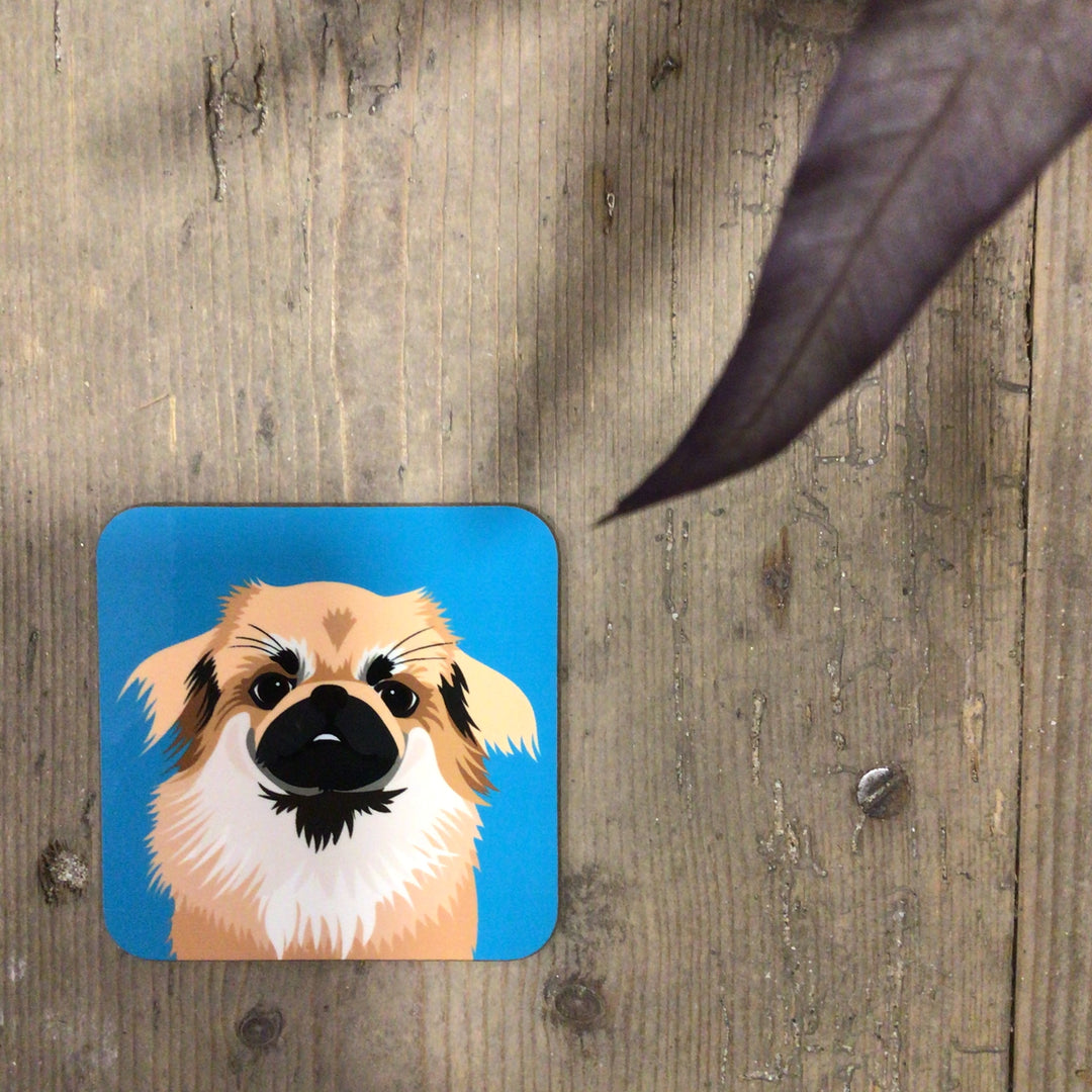 Dog Coaster