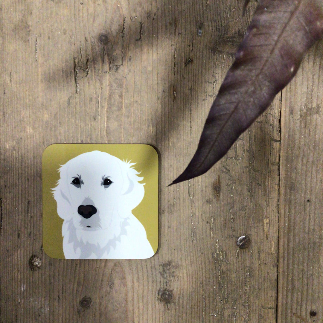 Dog Coaster