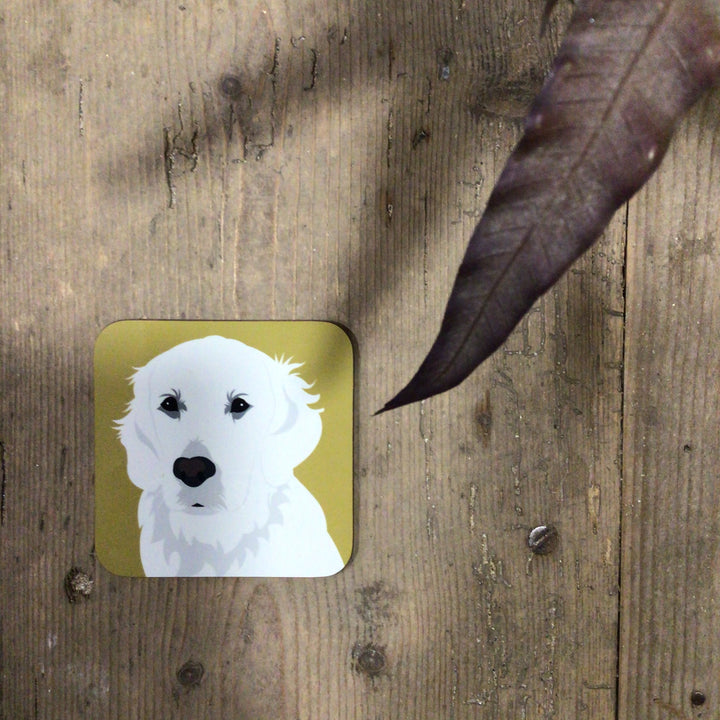 Dog Coaster