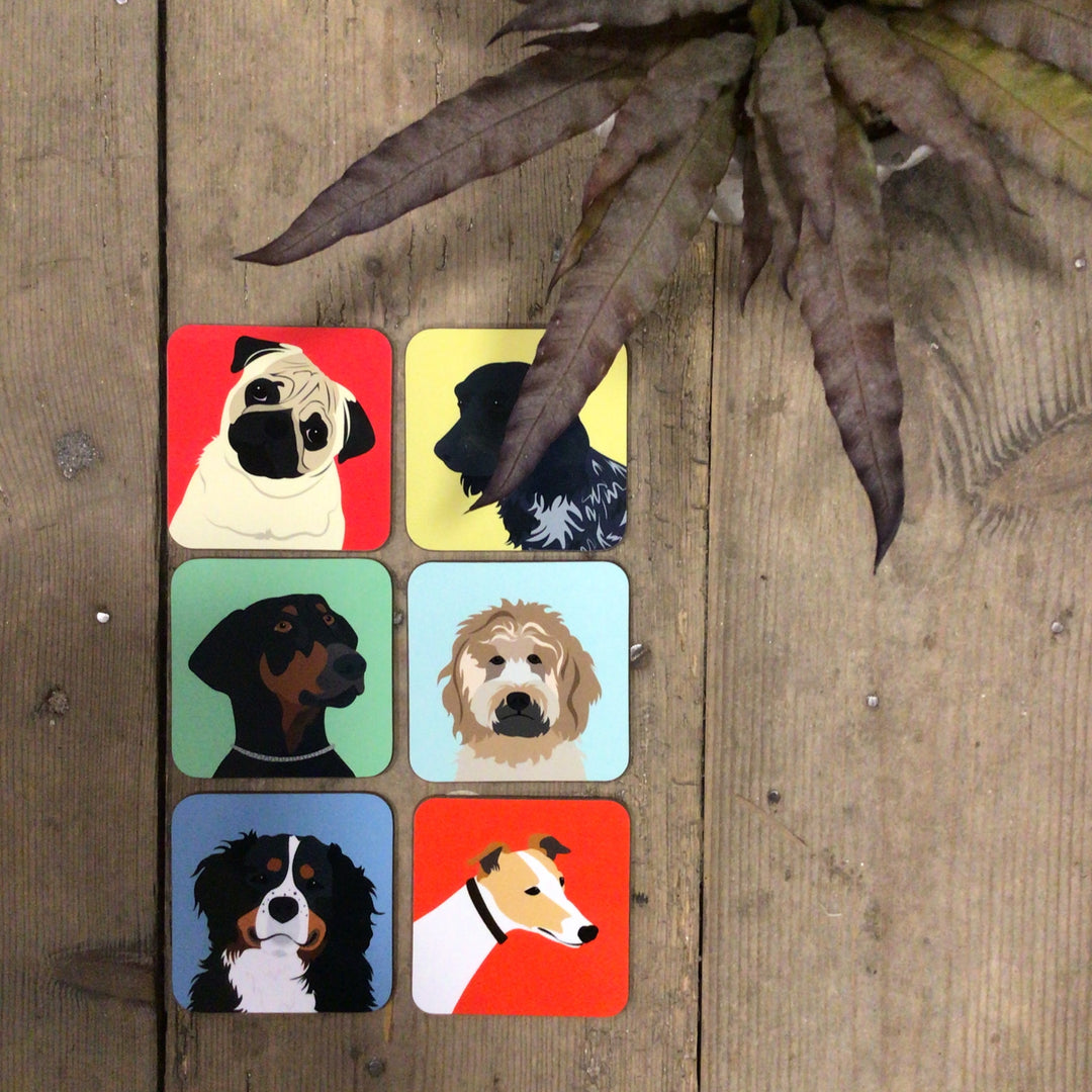 Dog Coaster
