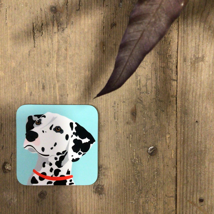 Dog Coaster
