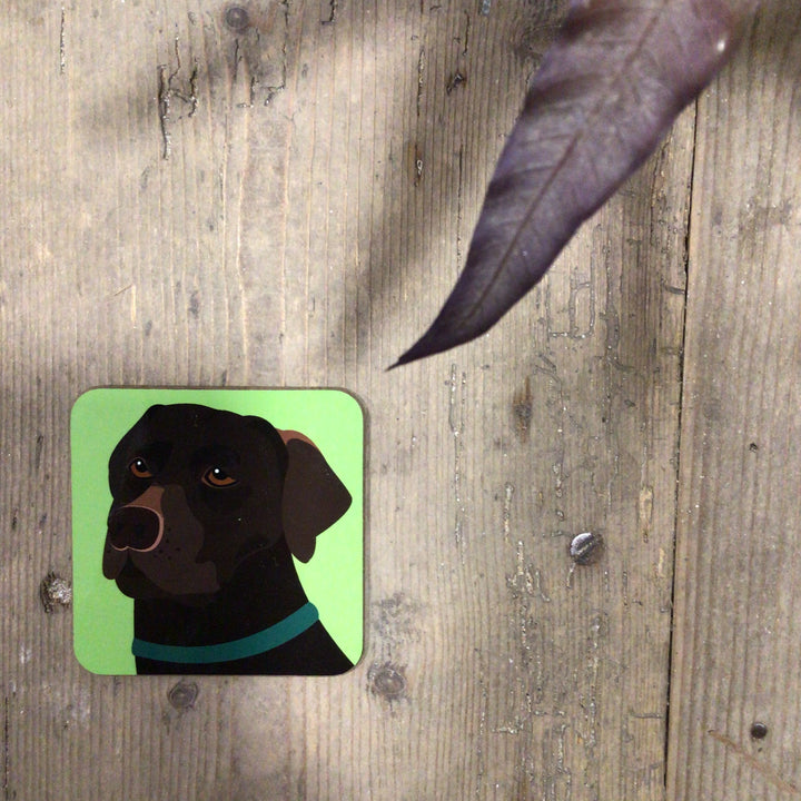 Dog Coaster