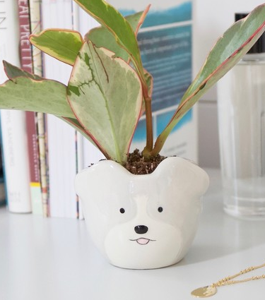 Mini Dog Plant Pot