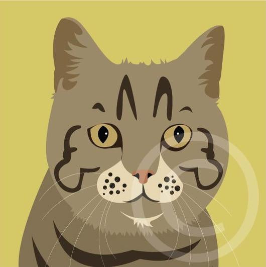 Cat Card
