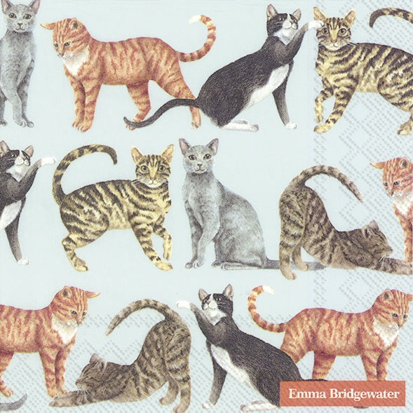 Emma Bridgewater Lunch Napkins
