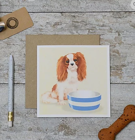 Dog & Bowl Card