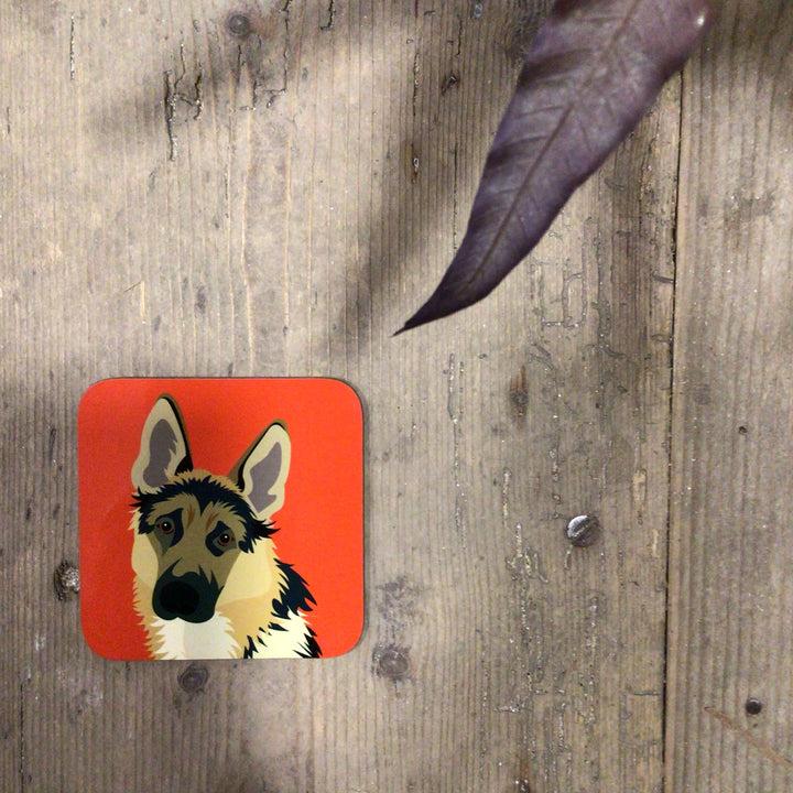 Dog Coaster