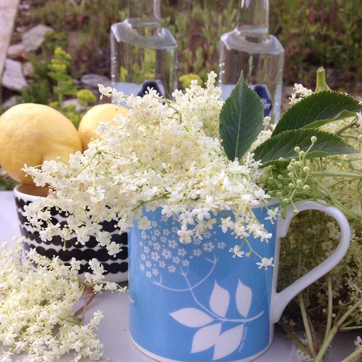 Hedgerow Mug