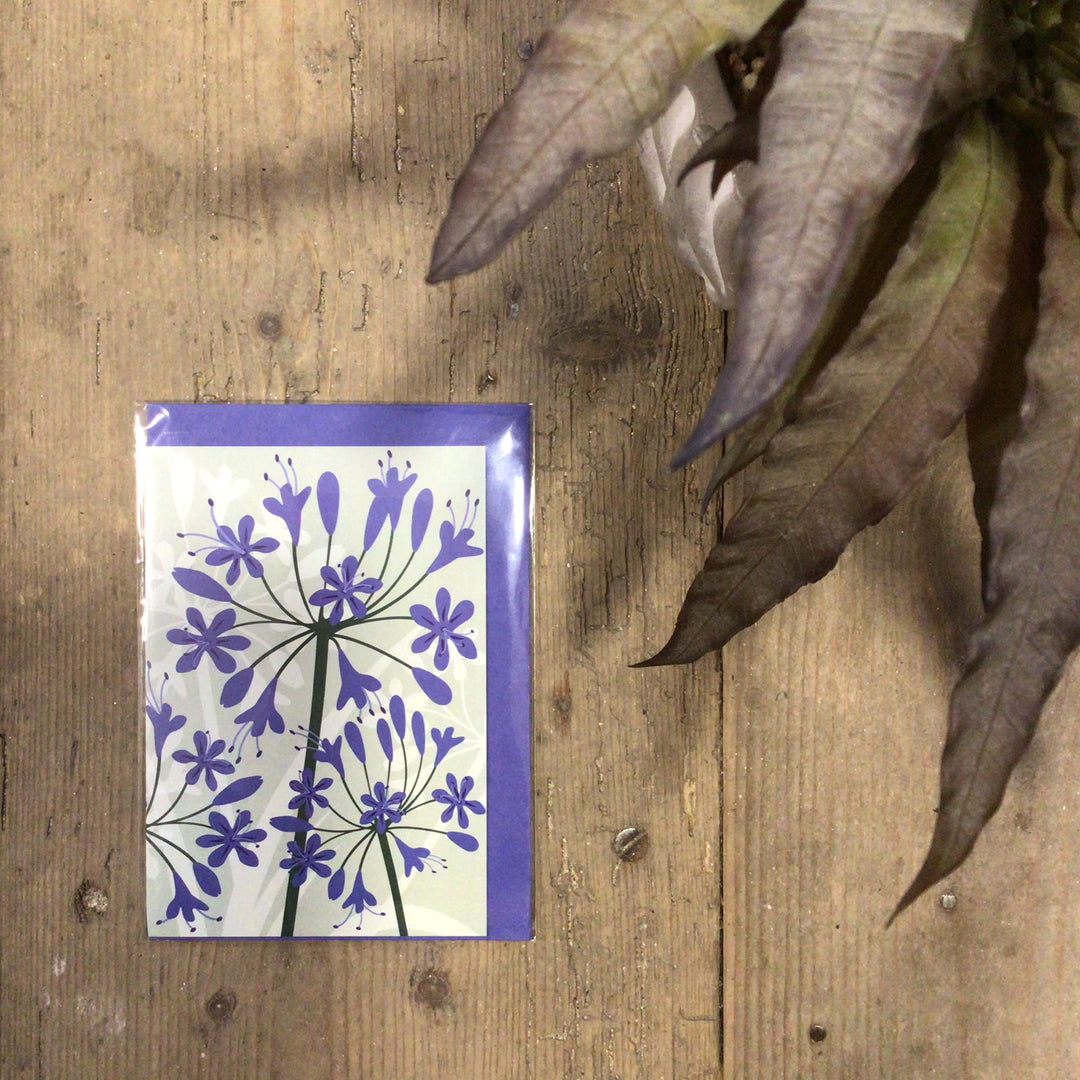 Agapanthus Card