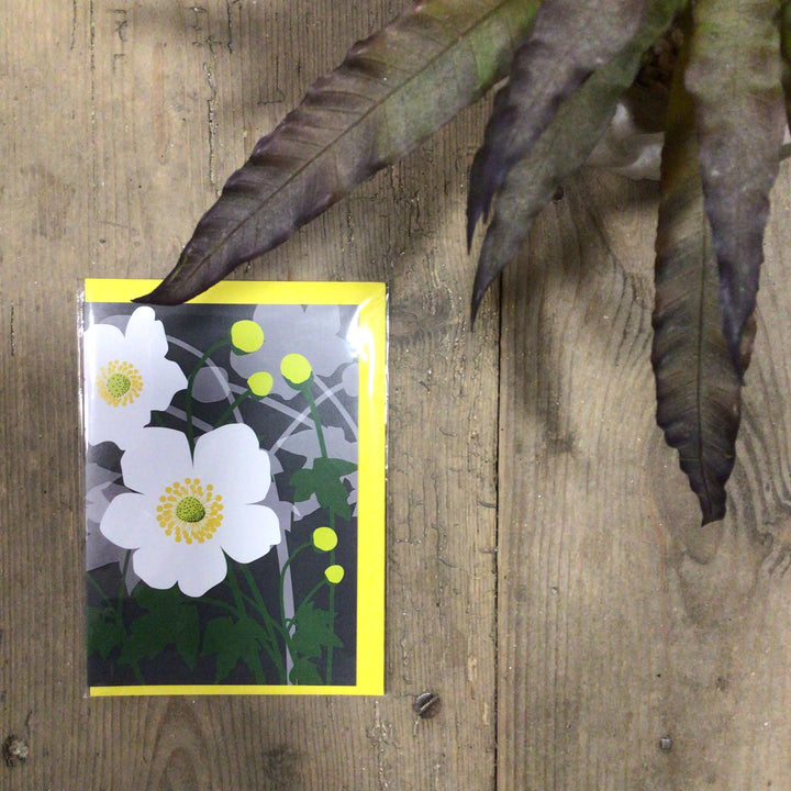 Anenome Card
