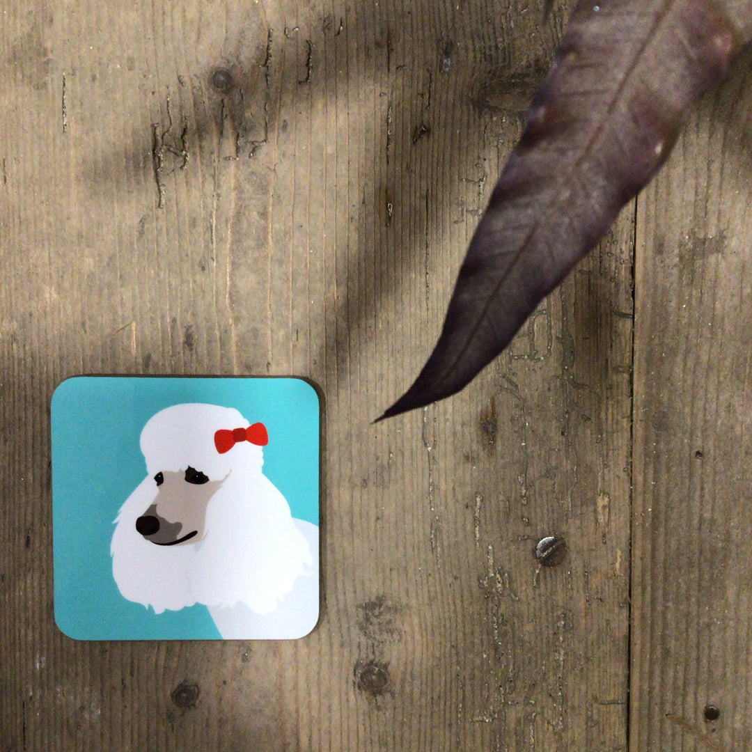 Dog Coaster